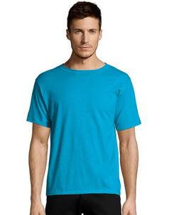 Hanes 5170 Ecosmart T-Shirt